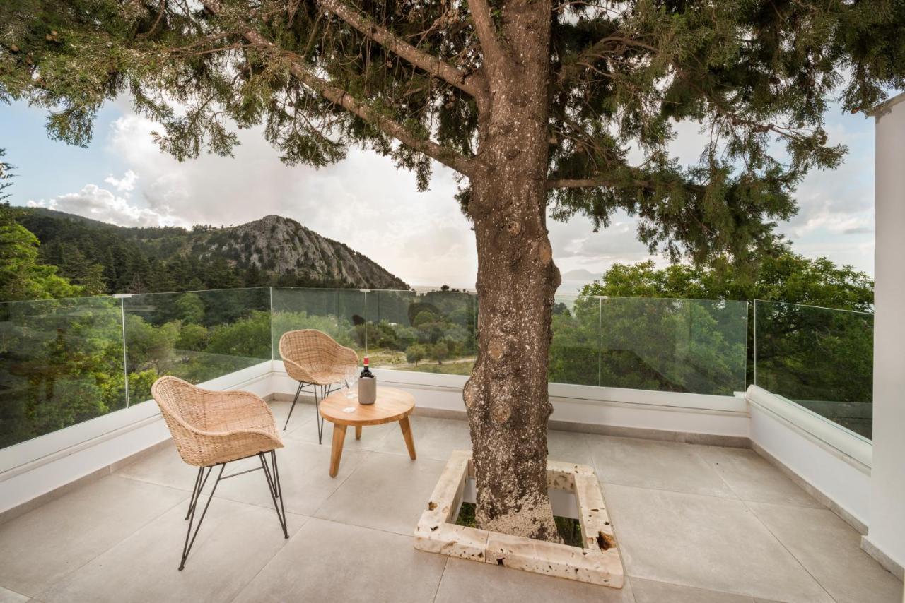 Forest View Villas 1 Lagoudi Zia المظهر الخارجي الصورة