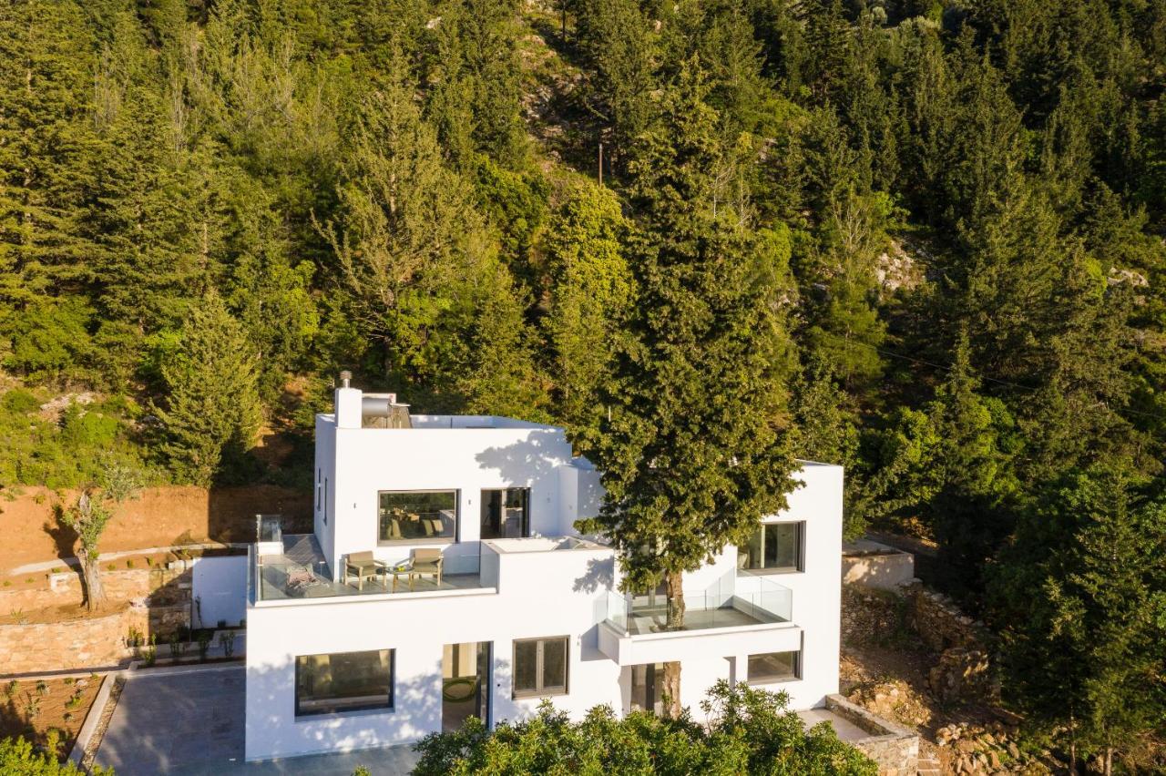 Forest View Villas 1 Lagoudi Zia المظهر الخارجي الصورة